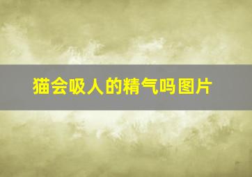 猫会吸人的精气吗图片