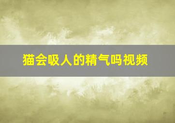 猫会吸人的精气吗视频