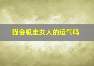 猫会吸走女人的运气吗