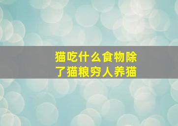 猫吃什么食物除了猫粮穷人养猫