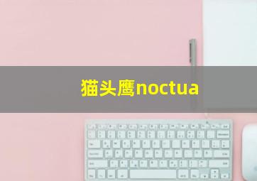 猫头鹰noctua