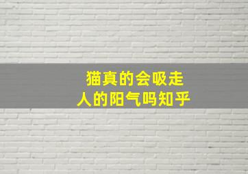 猫真的会吸走人的阳气吗知乎