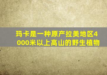 玛卡是一种原产拉美地区4000米以上高山的野生植物