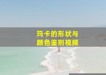 玛卡的形状与颜色鉴别视频