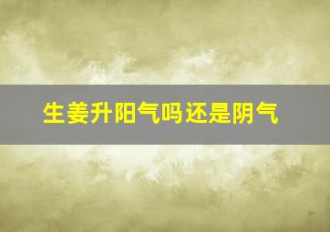 生姜升阳气吗还是阴气