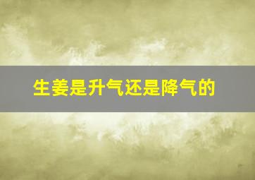 生姜是升气还是降气的