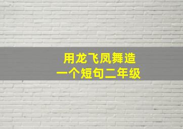 用龙飞凤舞造一个短句二年级