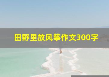 田野里放风筝作文300字