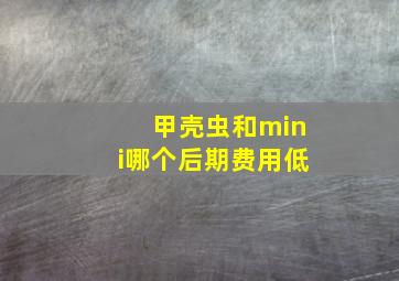 甲壳虫和mini哪个后期费用低