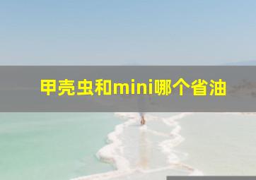 甲壳虫和mini哪个省油