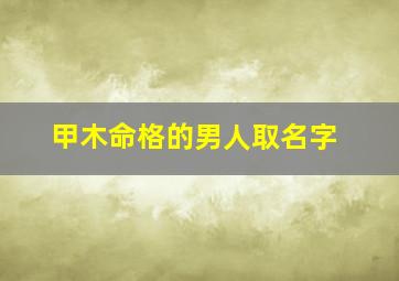 甲木命格的男人取名字