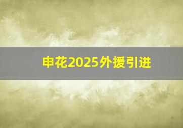 申花2025外援引进