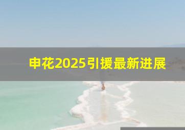 申花2025引援最新进展