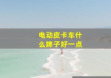 电动皮卡车什么牌子好一点