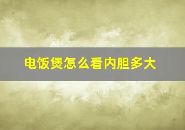 电饭煲怎么看内胆多大