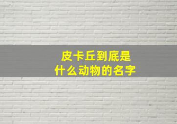 皮卡丘到底是什么动物的名字