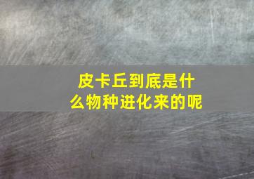 皮卡丘到底是什么物种进化来的呢