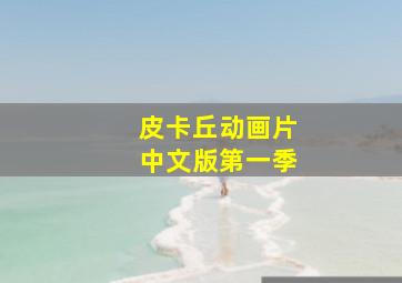 皮卡丘动画片中文版第一季