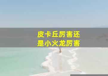 皮卡丘厉害还是小火龙厉害