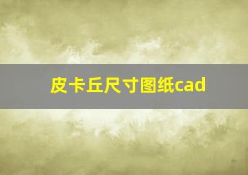 皮卡丘尺寸图纸cad