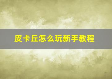 皮卡丘怎么玩新手教程