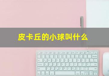 皮卡丘的小球叫什么