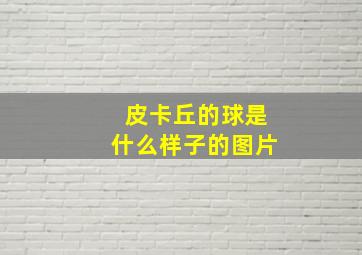 皮卡丘的球是什么样子的图片