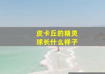 皮卡丘的精灵球长什么样子