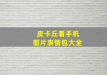 皮卡丘看手机图片表情包大全