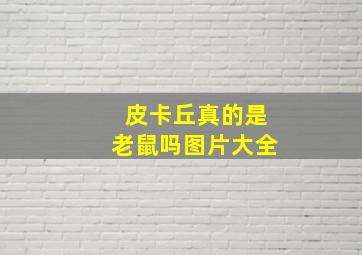 皮卡丘真的是老鼠吗图片大全