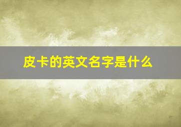 皮卡的英文名字是什么