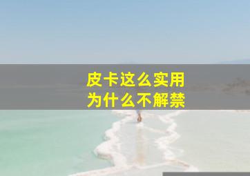 皮卡这么实用为什么不解禁