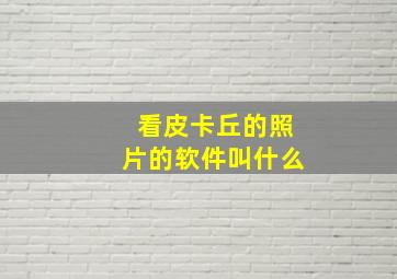 看皮卡丘的照片的软件叫什么