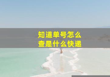 知道单号怎么查是什么快递