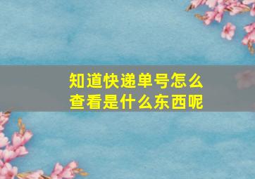 知道快递单号怎么查看是什么东西呢