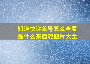 知道快递单号怎么查看是什么东西呢图片大全