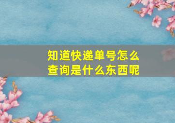 知道快递单号怎么查询是什么东西呢