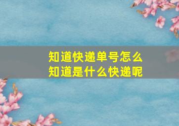 知道快递单号怎么知道是什么快递呢