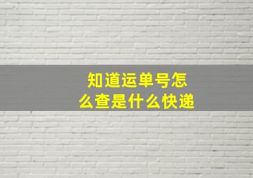 知道运单号怎么查是什么快递