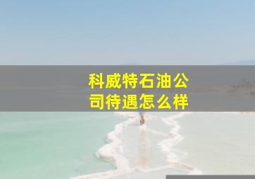 科威特石油公司待遇怎么样