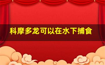 科摩多龙可以在水下捕食