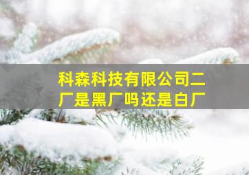 科森科技有限公司二厂是黑厂吗还是白厂