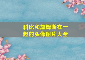 科比和詹姆斯在一起的头像图片大全