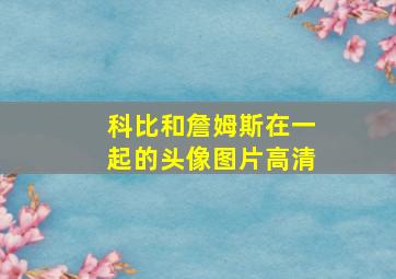 科比和詹姆斯在一起的头像图片高清