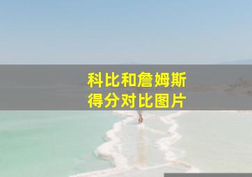 科比和詹姆斯得分对比图片