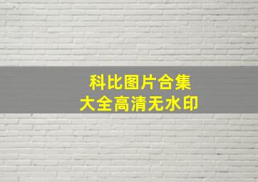 科比图片合集大全高清无水印