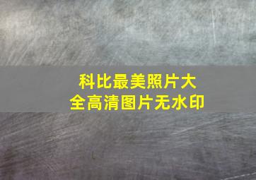 科比最美照片大全高清图片无水印