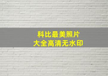 科比最美照片大全高清无水印