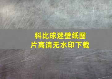 科比球迷壁纸图片高清无水印下载