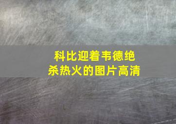 科比迎着韦德绝杀热火的图片高清